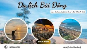 Du lịch Bãi Đông