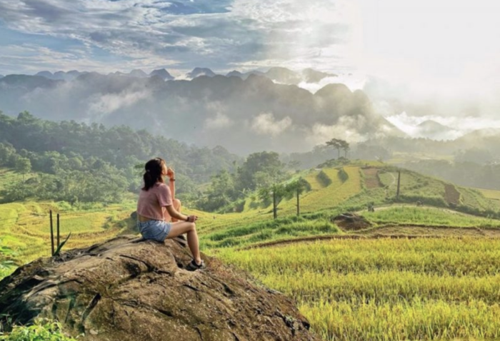 Chiêm ngưỡng Thanh Hóa mùa lúa chín ở nhiều địa điểm điểm