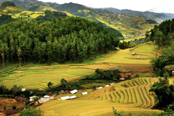 Pù Luông - Địa điểm ngắm lúa chín tại Thanh Hoá