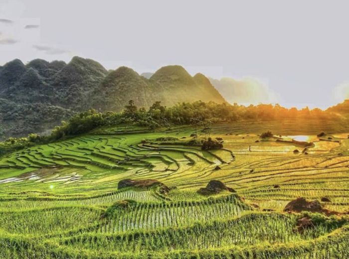 Ngắm lúa chín ở đâu tại Thanh Hoá