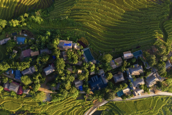Các bản làng vào mùa lúa chín
