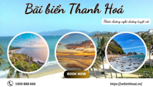 Bãi biển Thanh Hoá